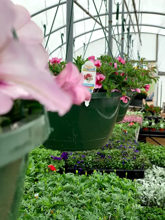 Timanda Landscaping & Garden Center Picture 9