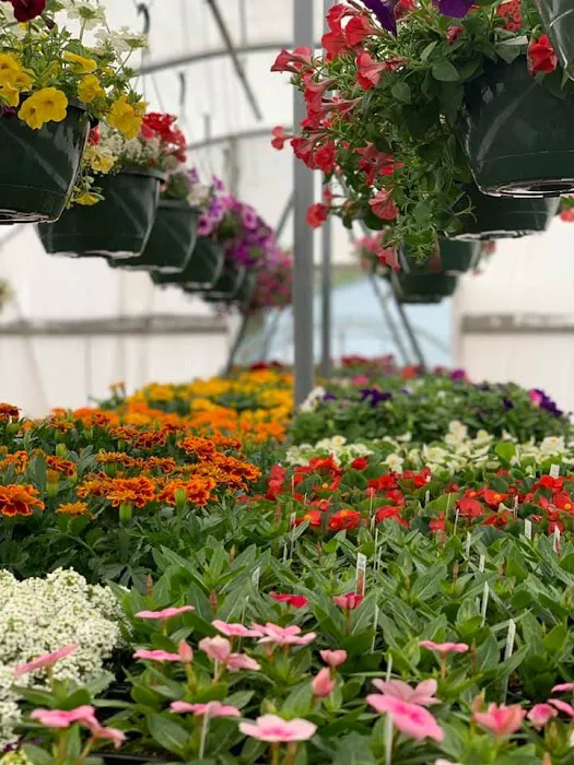 Timanda Landscaping & Garden Center Picture 6