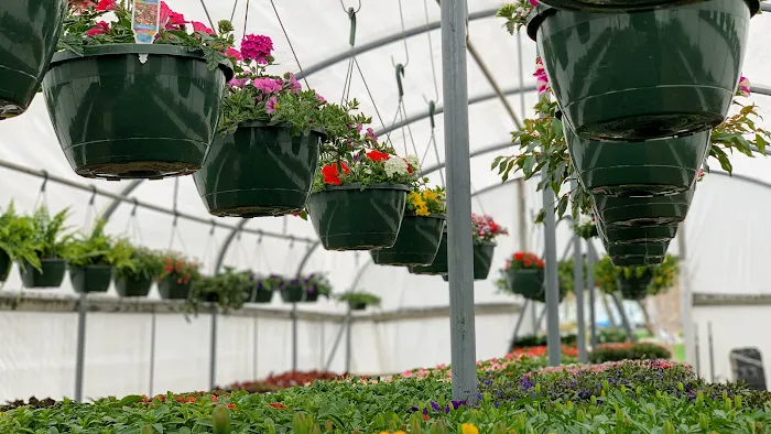Timanda Landscaping & Garden Center Picture 3