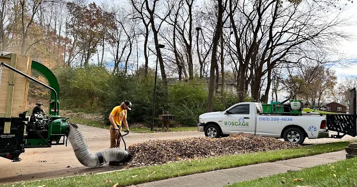 Boscage Landscaping Picture 9