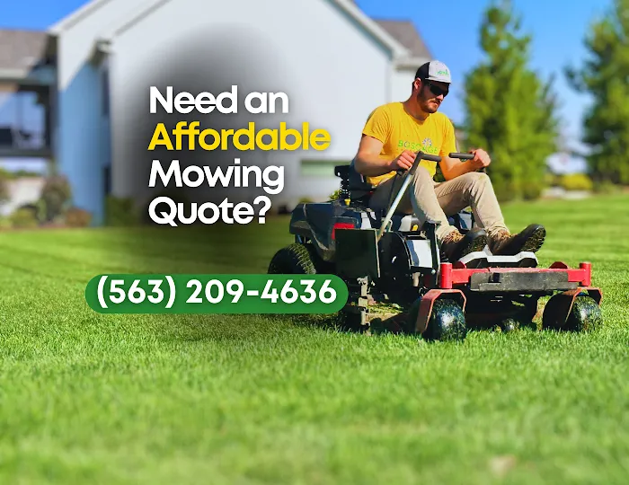 Boscage Landscaping Picture 3