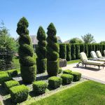 Horizon Outdoor Services, Inc.