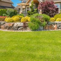 McCormick's Lawn ico
