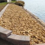 Pro Solutions Landscaping, LLC