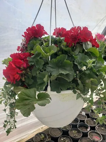 Landmark Landscaping Services LLC Picture 9