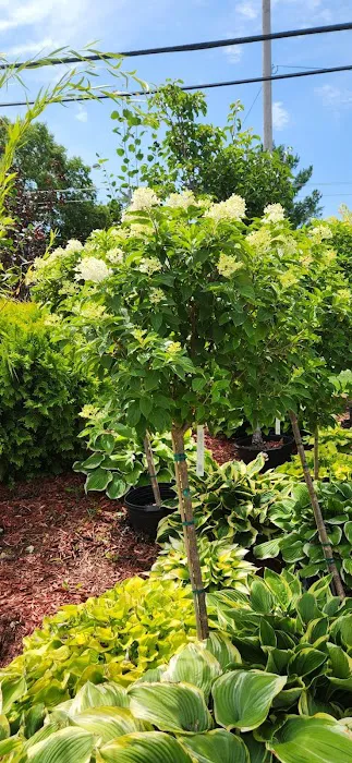 Landmark Landscaping Services LLC Picture 2