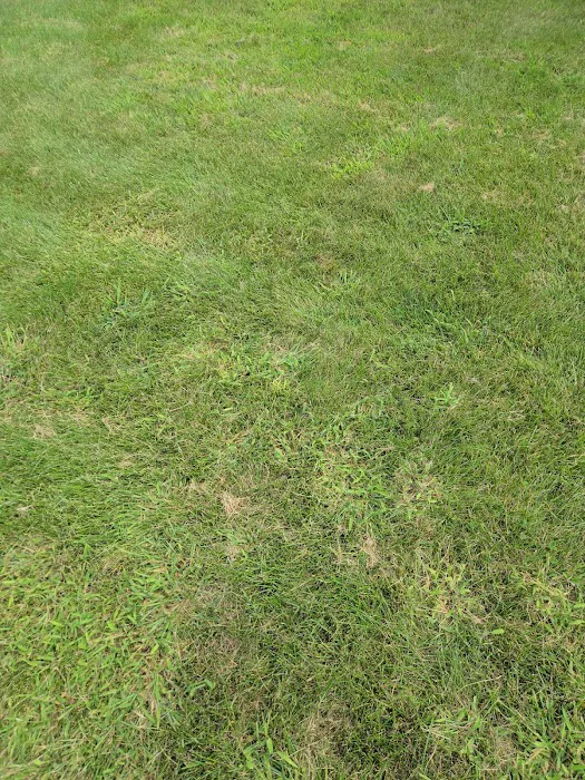 Naturescape Lawn and Landscape Care Picture 3
