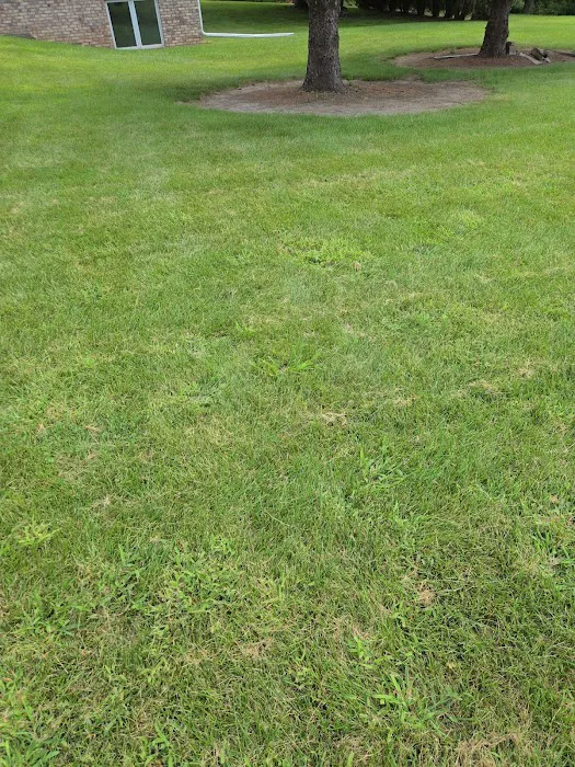 Naturescape Lawn and Landscape Care Picture 2