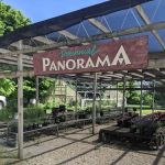 Freeman Tree Farm & Landscaping