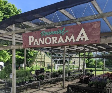 Freeman Tree Farm & Landscaping