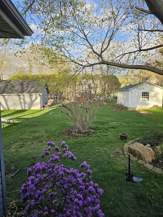 Bettendorf Lawn Care, LLC Picture 6