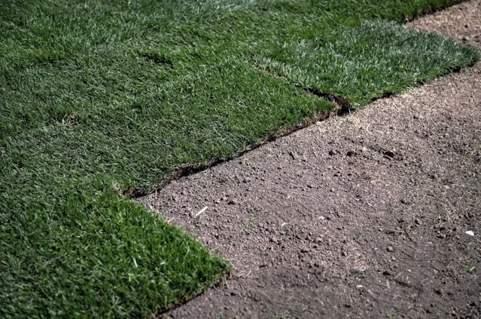 Yardscapes Lawn and Landscaping Professionals LLC Picture 6