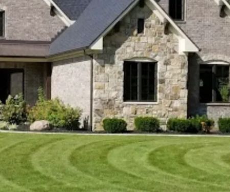 Yardscapes Lawn and Landscaping Professionals LLC