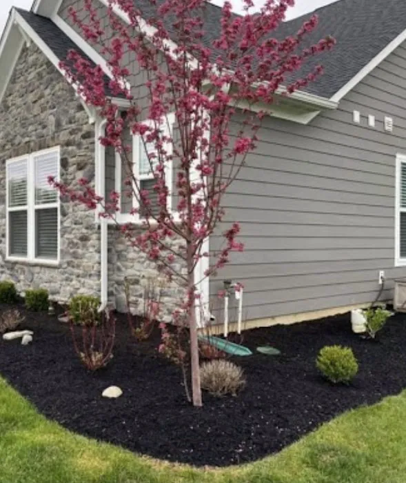 Yardscapes Lawn and Landscaping Professionals LLC Picture 4