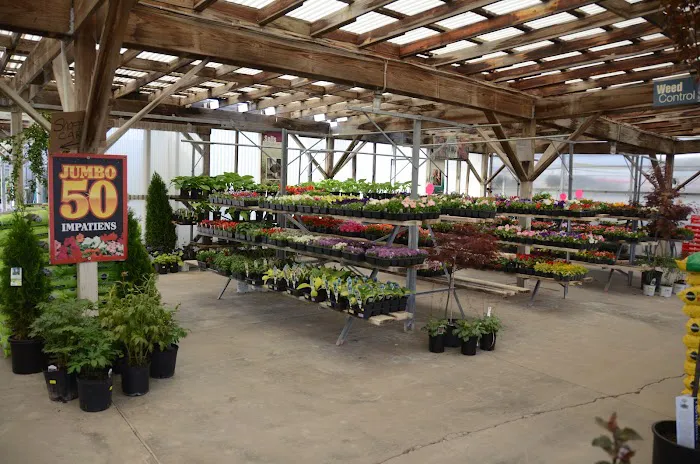 Sheridan Nursery Picture 2