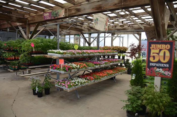 Sheridan Nursery Picture 6