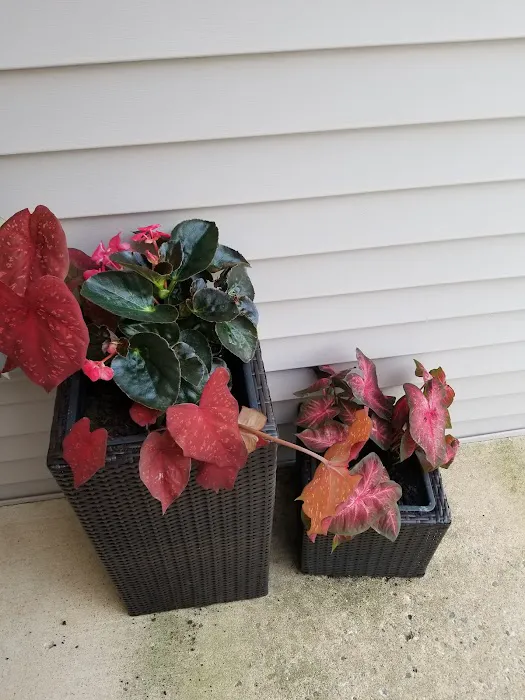 Sheridan Nursery Picture 10