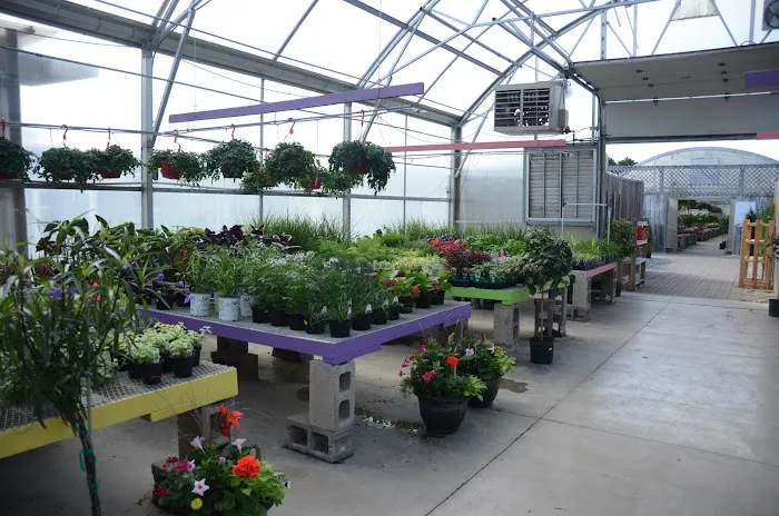 Sheridan Nursery Picture 4