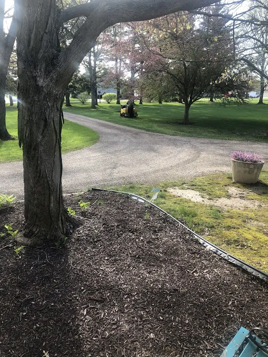 TruGreen Lawn Care Picture 8
