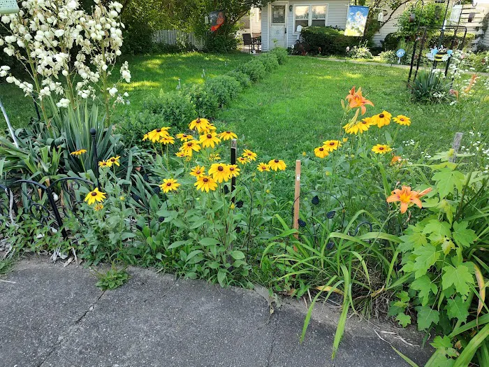 TruGreen Lawn Care Picture 2