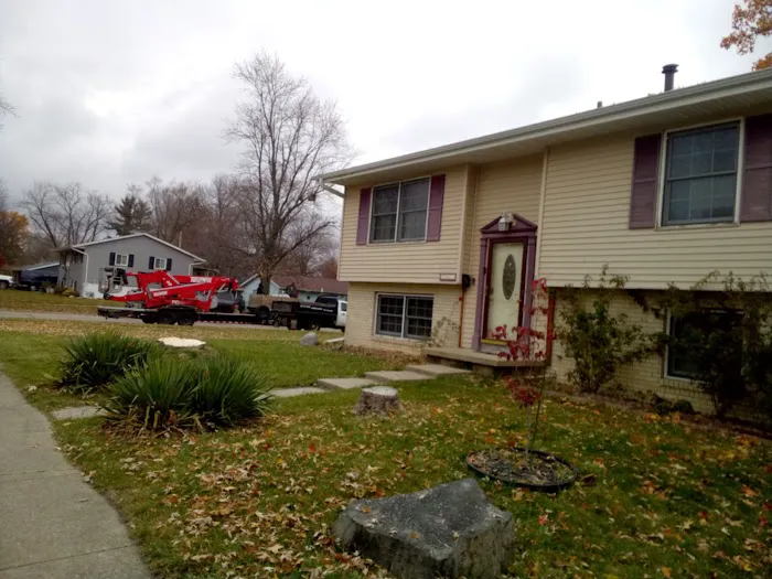 Aim To Tame Tree Service Picture 1