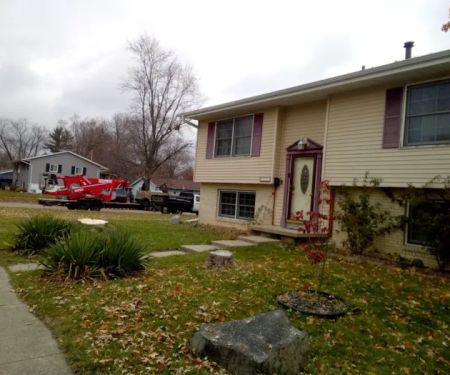 Aim To Tame Tree Service