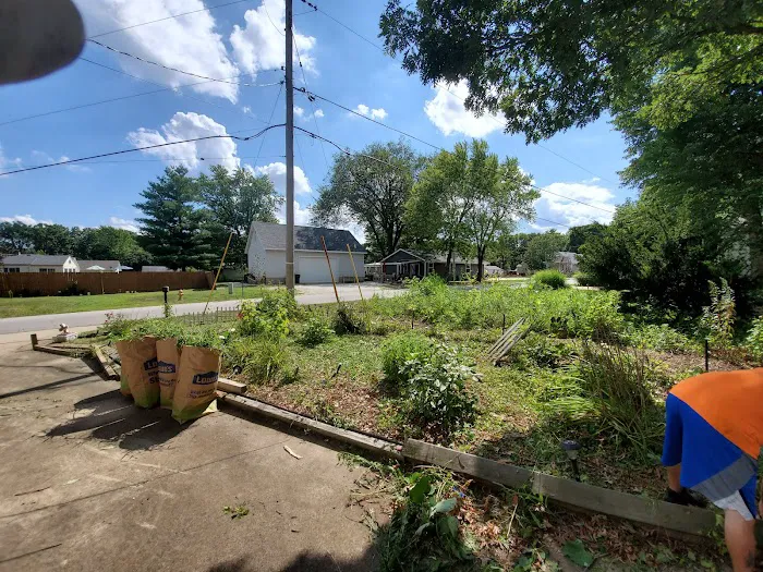Aim To Tame Tree Service Picture 10