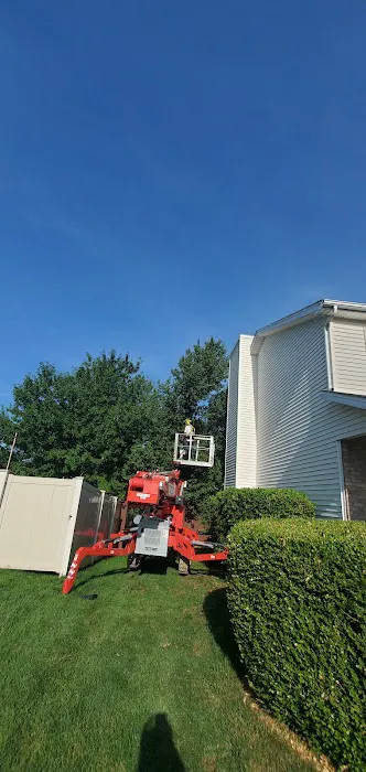 Aim To Tame Tree Service Picture 4
