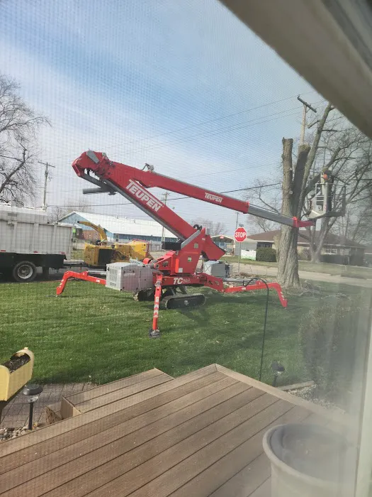 Aim To Tame Tree Service Picture 6