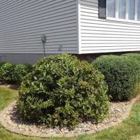Peoria Lawn ico