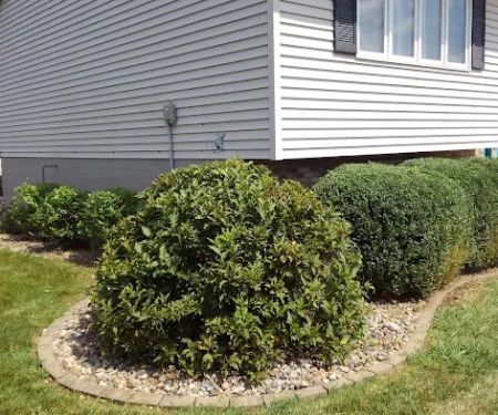 Peoria Lawn