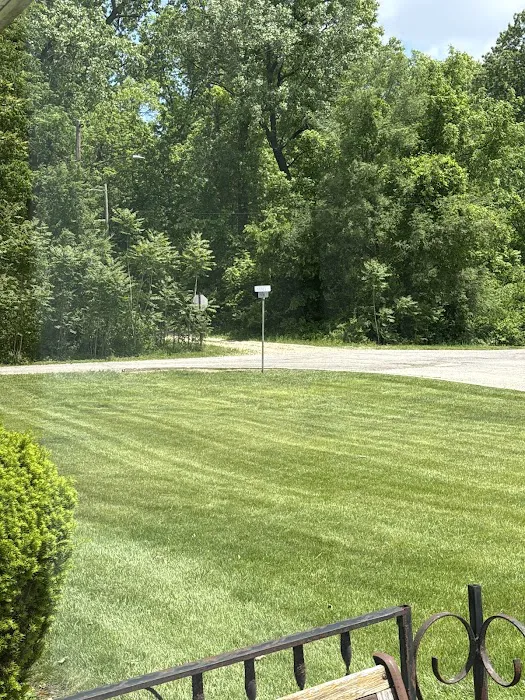 Spring Green Picture 1