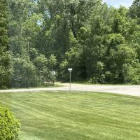 Spring Green ico