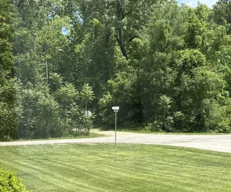 Spring Green
