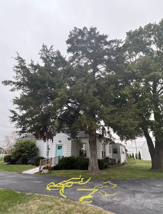 All Seasons Lawnscape & Tree Removal Picture 5