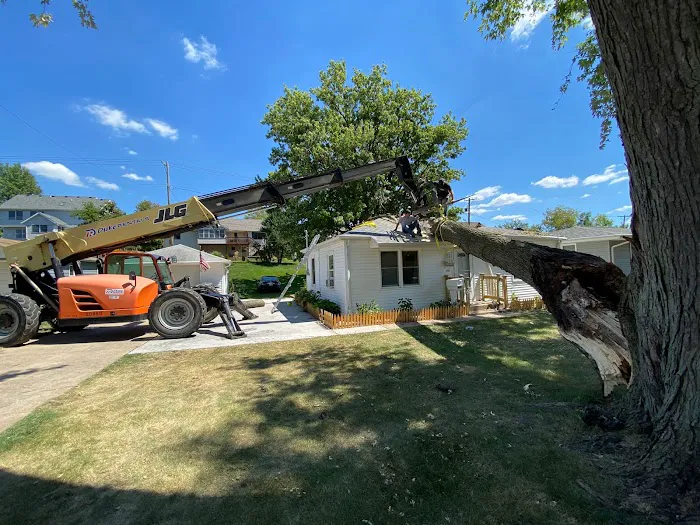 All Seasons Lawnscape & Tree Removal Picture 4