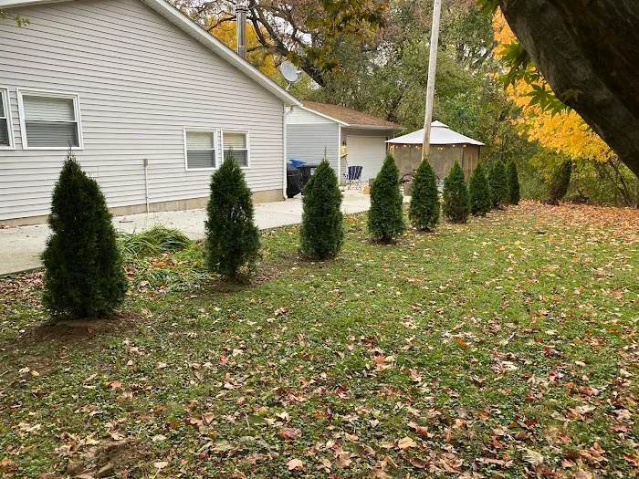 All Seasons Lawnscape & Tree Removal Picture 3