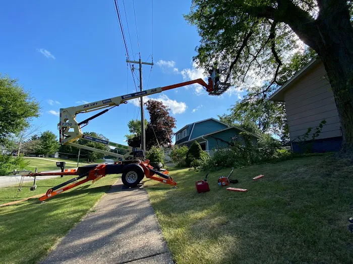 All Seasons Lawnscape & Tree Removal Picture 9