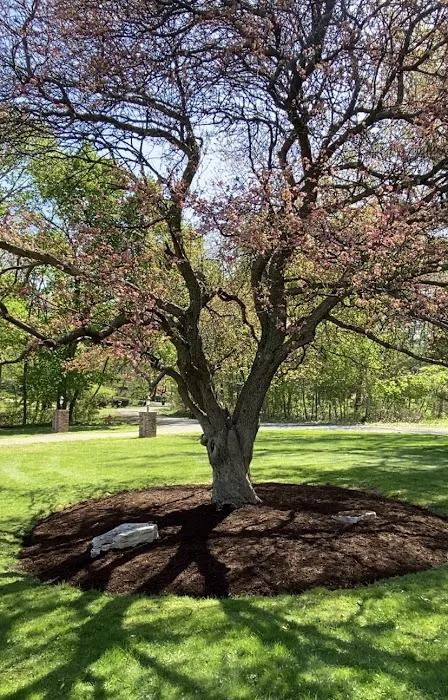 Raney Tree Care Picture 10