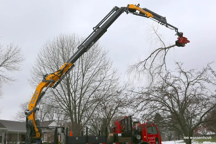 Raney Tree Care Picture 3