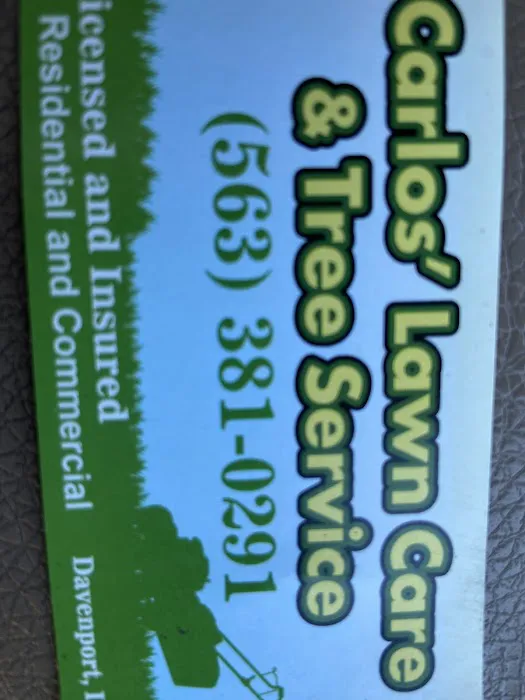 Carlos Lawn Care Services Picture 1