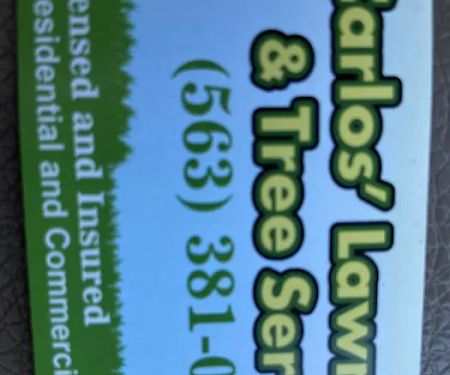Carlos Lawn Care Services
