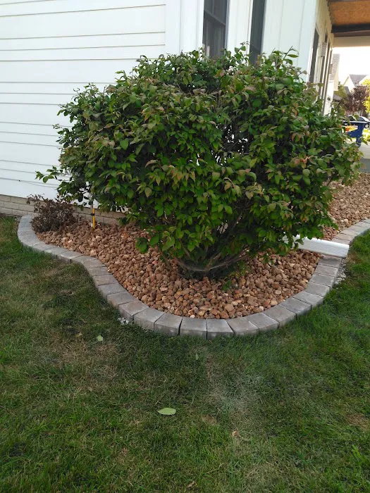 Carlos Lawn Care Services Picture 7