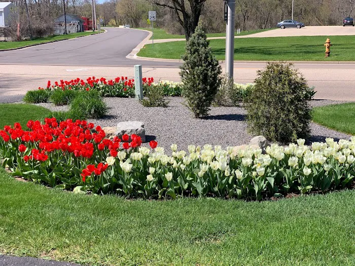 Creative Gardening, LLC Picture 3