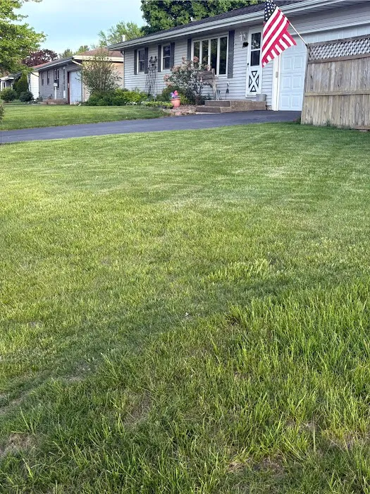Evergreen - Everbloom Picture 2
