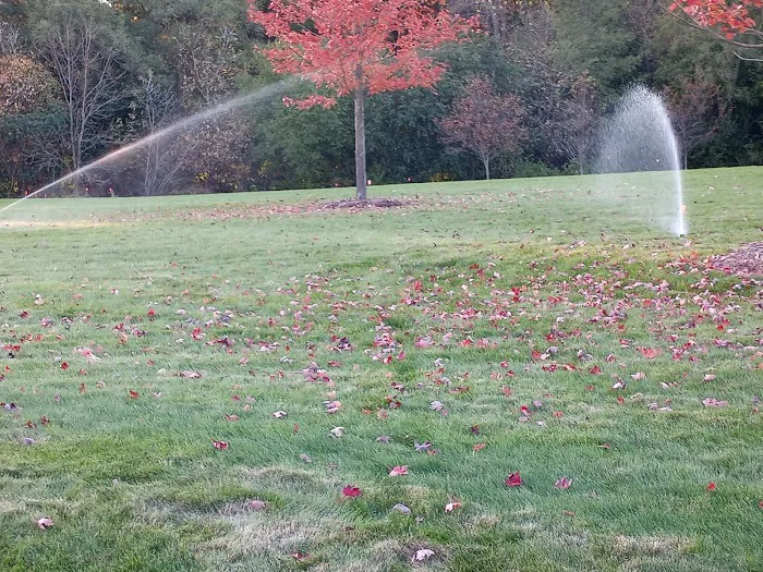 Perea Lawn Sprinkler Picture 2