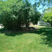 Parkland, Landscape Management LLC ico