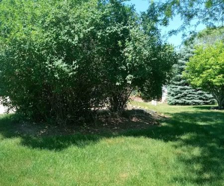 Parkland, Landscape Management LLC