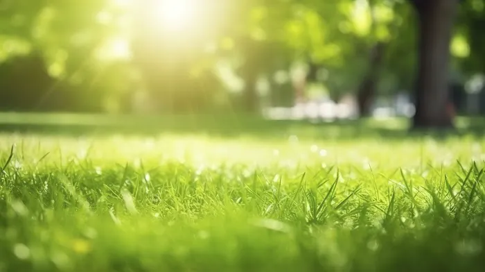 Grow Lawn and Landscape Picture 5