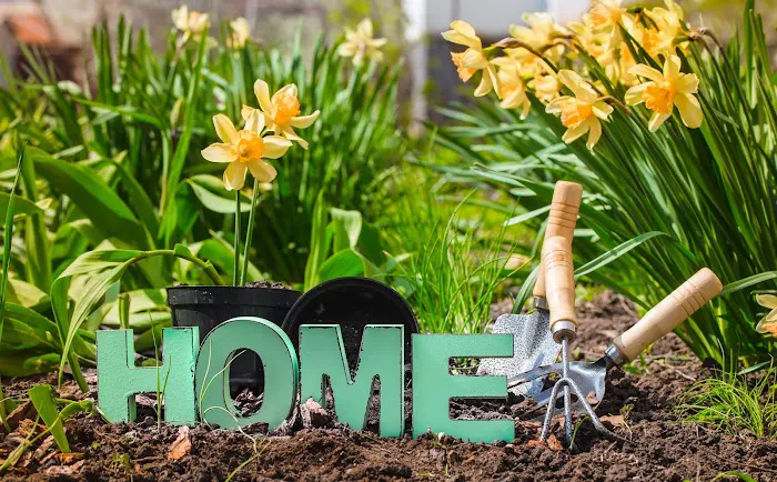 Grow Lawn and Landscape Picture 7
